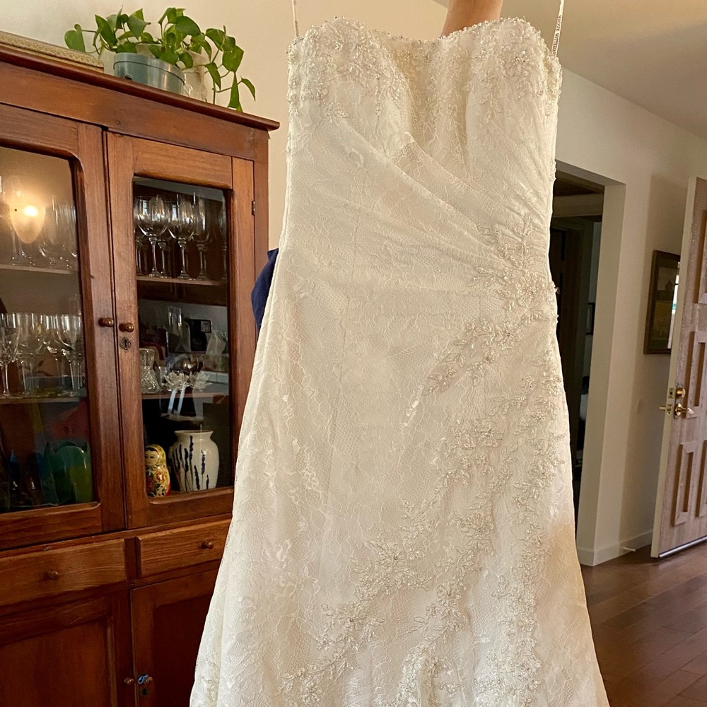 Beautiful lace wedding dress